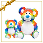 Gift Set - Rainbow Buddy Bear & Mini Plush